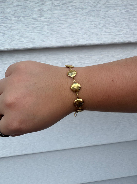 Eva Shell Bracelet